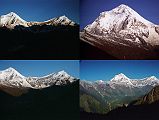 204 Dhaulagiri and Tukuche Peak After Sunrise From Shepherds Kharka Dhaulagiri and Tukuche Peak early morning from Shepherds Kharka (3760m) on the way to Annapurna North Base Camp.  Behind us, as we climbed today, we could see the full extent of the size of Dhaulagiri. It must have one of the largest reliefs in the world from the river valley at about 6,000 feet to the summit at 26,000 feet - 20,000-vertical feet within about seven miles horizontal distance (Maurice Herzog, Annapurna).